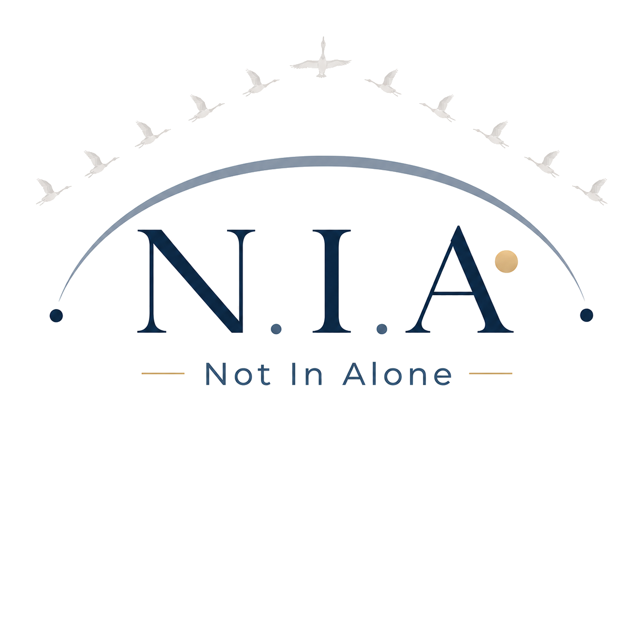 N.I.A. logo